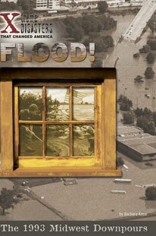 Cover of Flood!