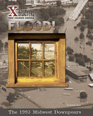 Book cover for Flood!