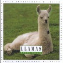 Book cover for Llamas