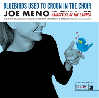 Book cover for Bluebirds Used to Croon in the Choir