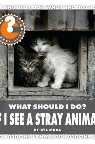 Cover of What Should I Do? If I See a Stray Animal