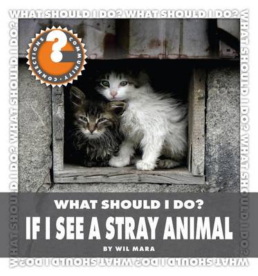 Book cover for What Should I Do? If I See a Stray Animal