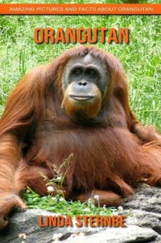 Cover of Orangutan