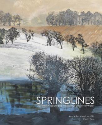 Book cover for Springlines