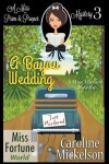Book cover for A Bayou Wedding
