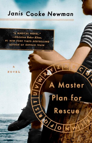 Book cover for A Master Plan for Rescue