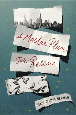 Cover of A Master Plan for Rescue