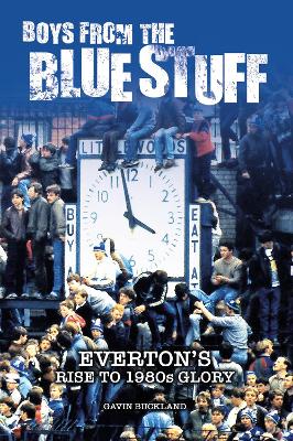 Book cover for Boys From The Bluestuff