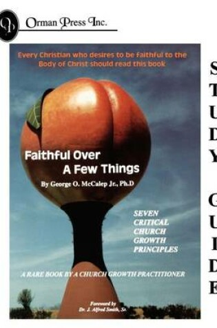 Cover of Faithful Over a Few Things Study Guide