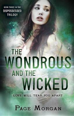Book cover for The Wondrous and the Wicked