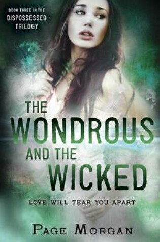 Cover of The Wondrous and the Wicked