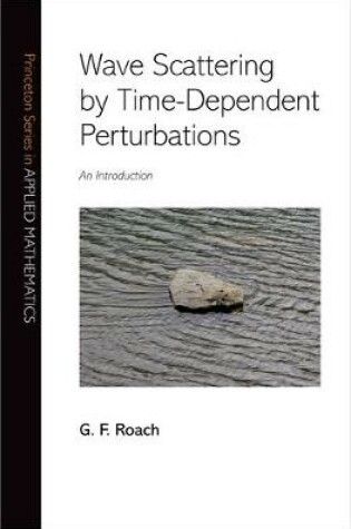 Cover of Wave Scattering by Time-Dependent Perturbations