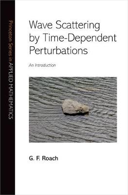 Book cover for Wave Scattering by Time-Dependent Perturbations