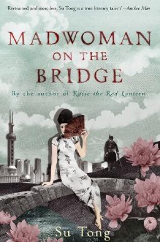 Cover of Madwoman On The Bridge And Other Stories