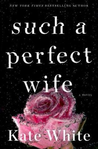 Cover of Such a Perfect Wife