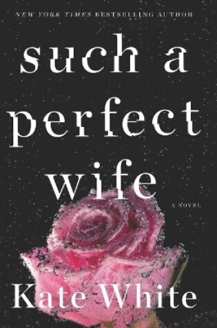 Cover of Such a Perfect Wife