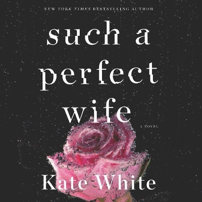 Book cover for Such a Perfect Wife