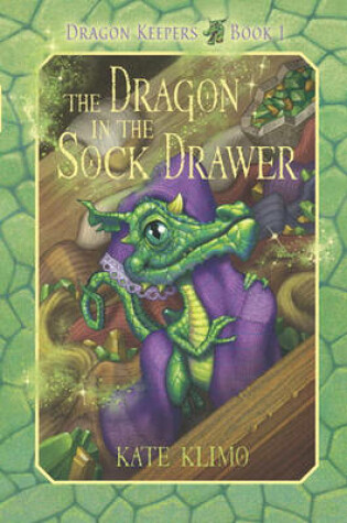 Cover of The Dragon in the Sock Drawer