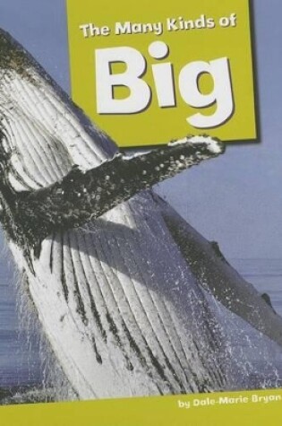 Cover of The Many Kinds of Big