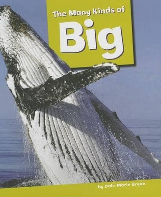 Book cover for The Many Kinds of Big