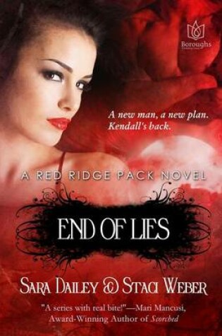 Cover of End of Lies