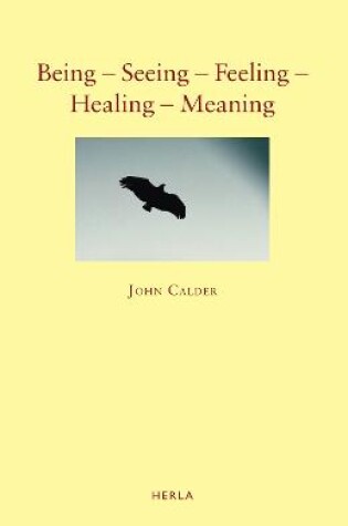 Cover of Being – Seeing – Feeling – Healing – Meaning