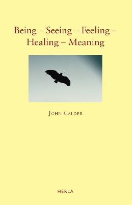 Book cover for Being – Seeing – Feeling – Healing – Meaning