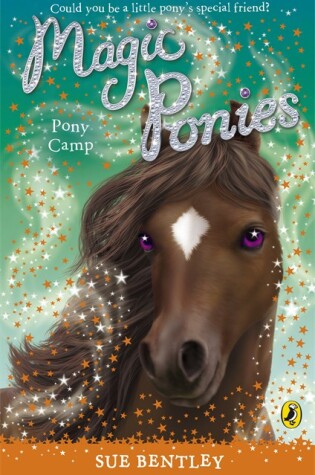 Cover of Pony Camp