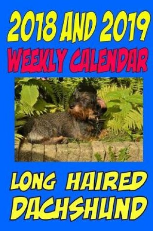 Cover of 2018 and 2019 Weekly Calendar Longhaired Dachshund