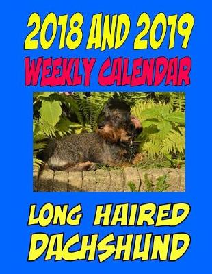 Book cover for 2018 and 2019 Weekly Calendar Longhaired Dachshund