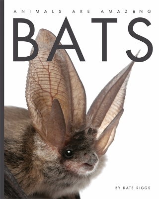 Cover of Animals Are Amazing: Bats