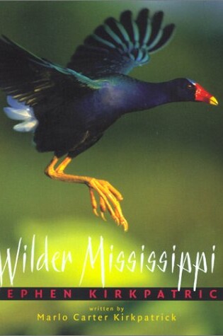 Cover of Wilder Mississippi
