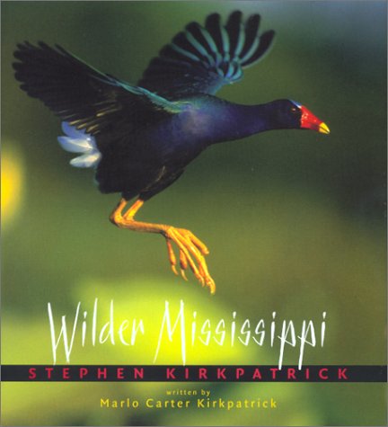 Book cover for Wilder Mississippi