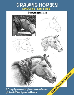 Book cover for Drawing Horses