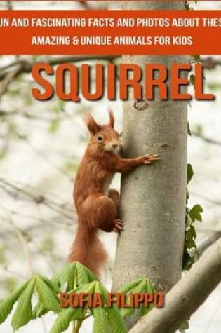 Cover of Squirrel