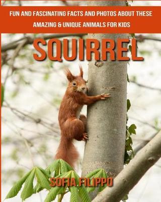 Book cover for Squirrel