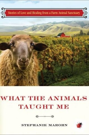 Cover of What the Animals Taught Me