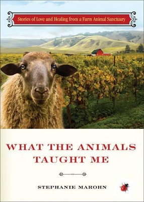 Book cover for What the Animals Taught Me