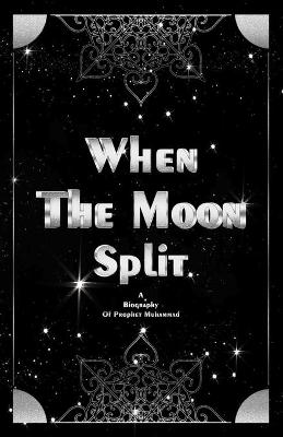 Book cover for When the moon split