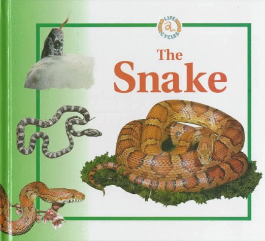 Book cover for The Snake