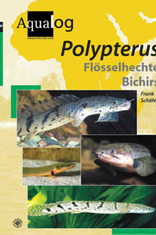 Cover of Aqualog Polypterus