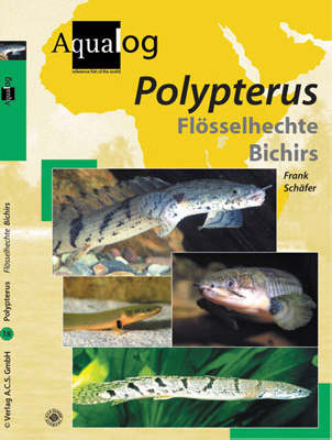 Book cover for Aqualog Polypterus
