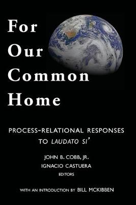 Book cover for For Our Common Home