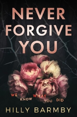 Cover of Never Forgive You