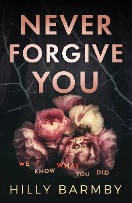 Book cover for Never Forgive You