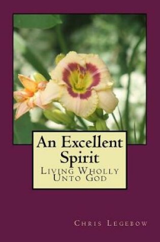 Cover of An Excellent Spirit