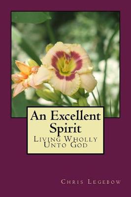 Book cover for An Excellent Spirit