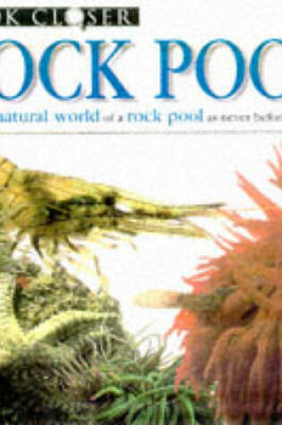 Cover of Rock Pool