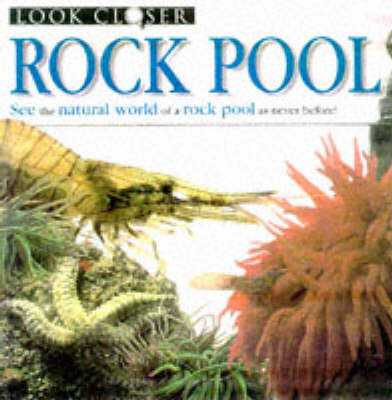 Cover of Rock Pool