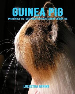 Book cover for Guinea pig